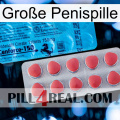 Große Penispille new14
